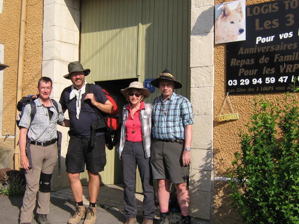 Aux 3 Loups Διαμέρισμα Châtenois Εξωτερικό φωτογραφία